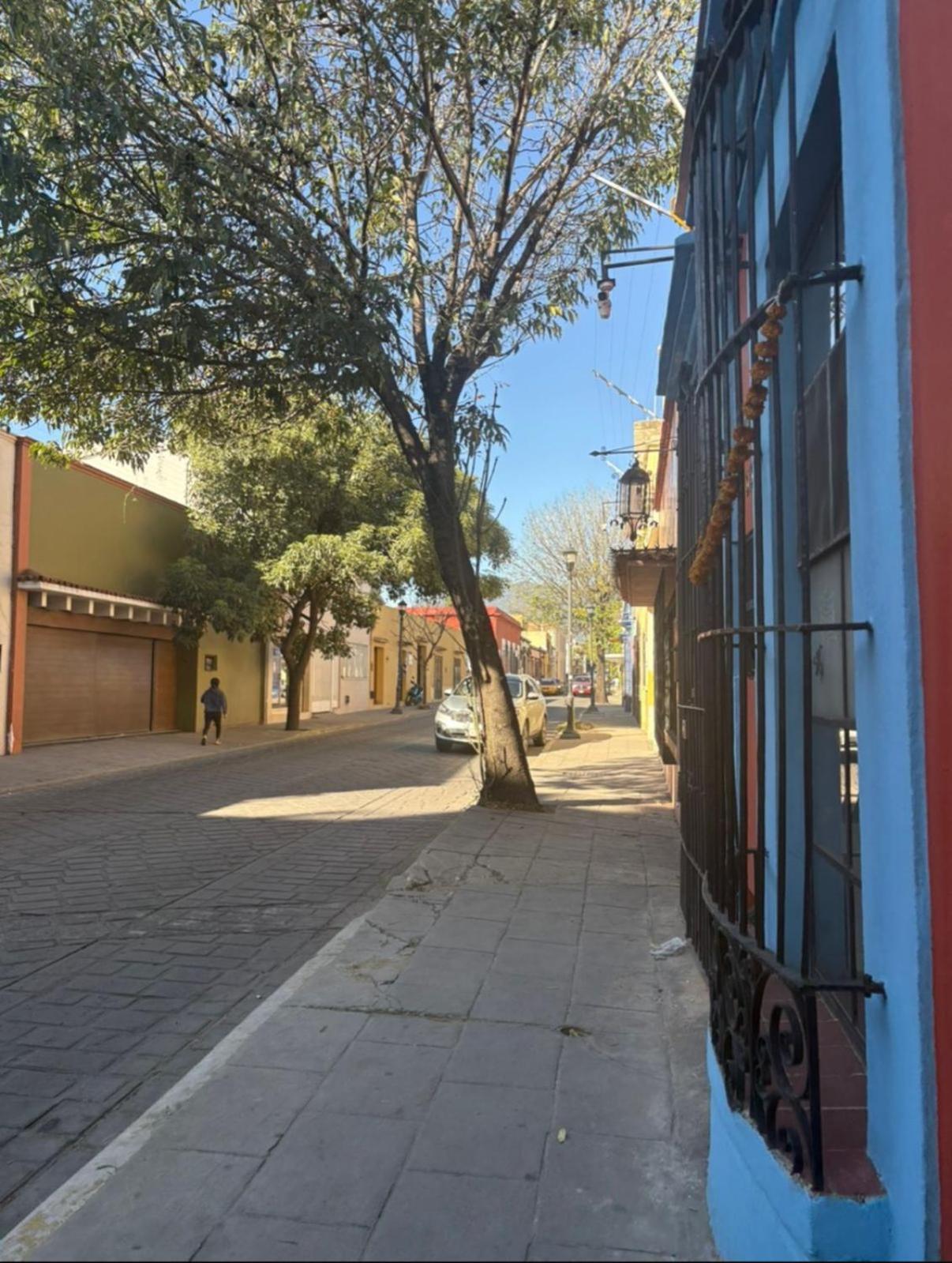 הוילה Casa Oaxaca מראה חיצוני תמונה